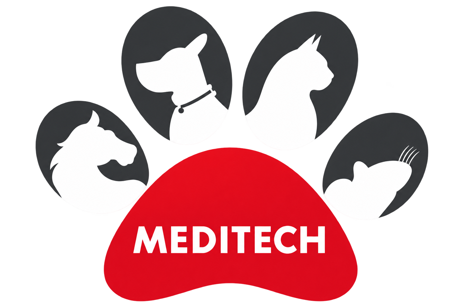MEDITECH